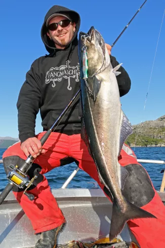 Köhler angeln in Norwegen